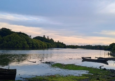 കല്ലായിപ്പുഴ (Kallayi river)ആഴംകൂട്ടൽ ; പ്രവൃത്തി ഒരു വർഷത്തിനകം പൂർത്തിയാക്കുക ലക്ഷ്യം